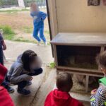 Campamento2